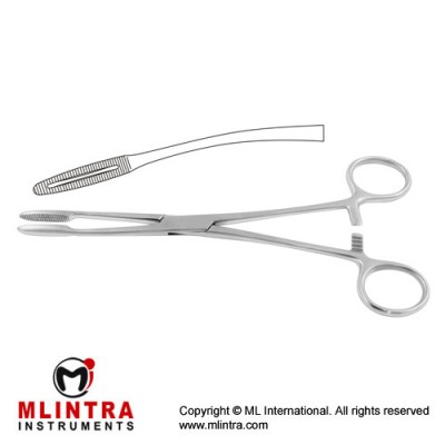 Gross-Maier Dressing Forcep Curved - With Ratchet Stainless Steel, 26 cm - 10 1/4"